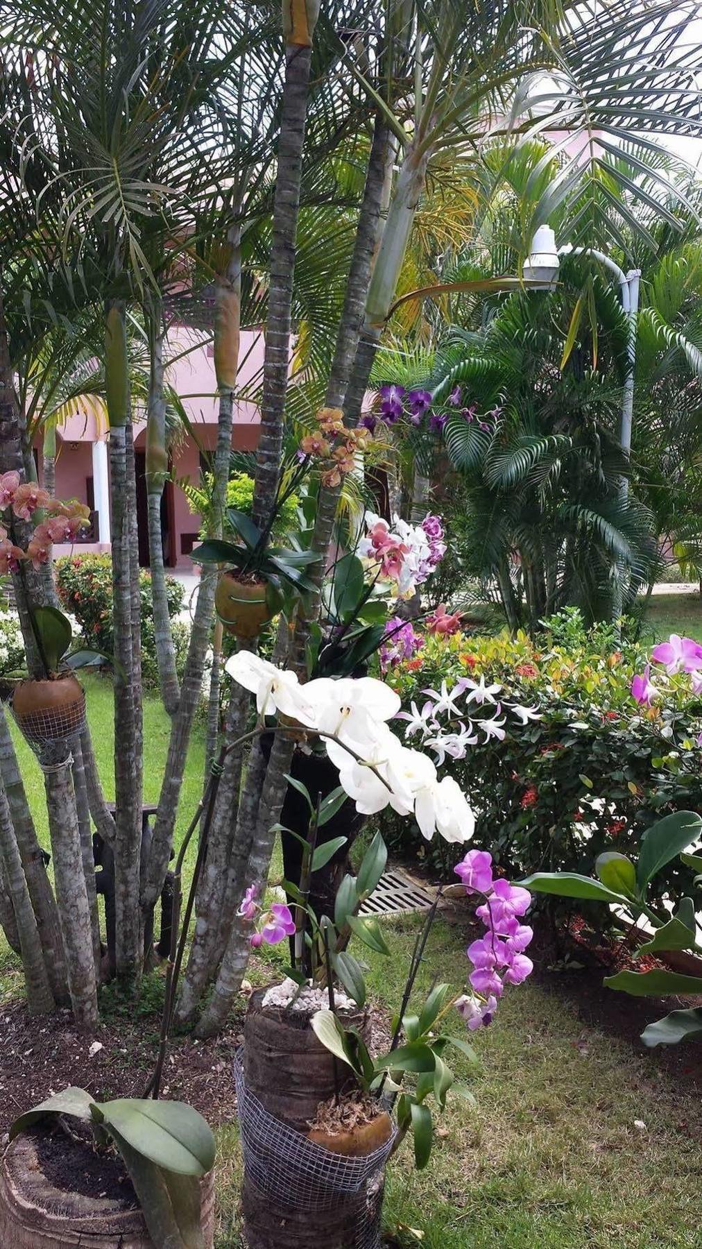 Soficu Hotel El Eden Dominicus Байяібе Екстер'єр фото